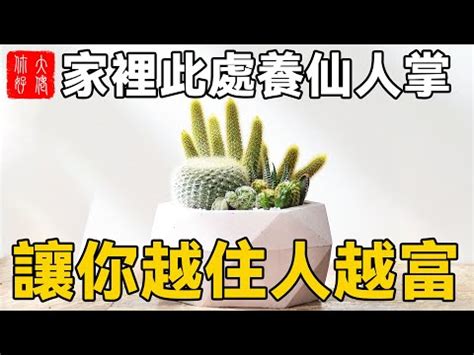 防小人 仙人掌|仙人掌防小人房間：如何利用仙人掌化解小人問題 – 植物盆栽綠寶典